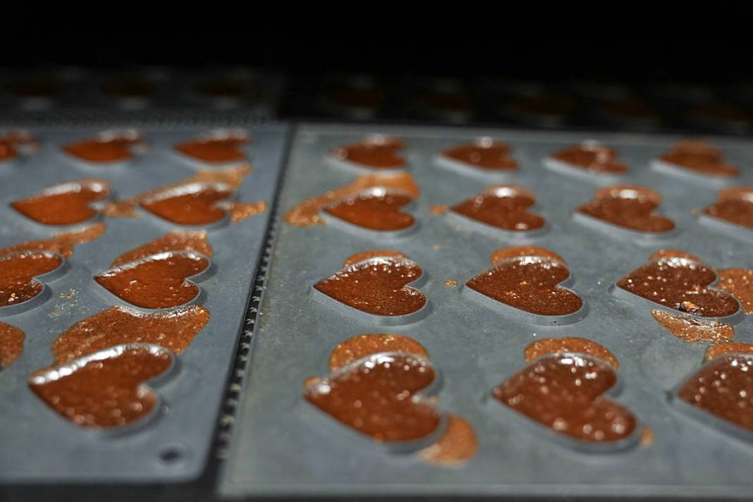 Türk bilim insanı, paça çorbası cipsi üretti! Yurt dışından koli koli sipariş geliyor 20